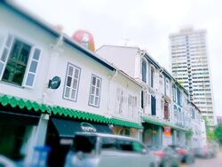 Duxton Road (D2), Shop House #587083001